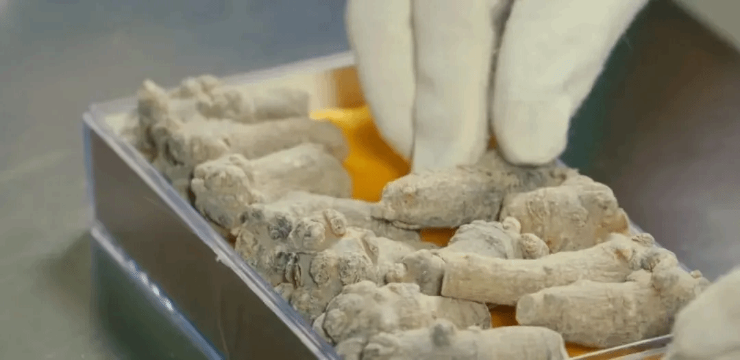 ����ͻ��-��������ݻ���_MG������Ϸ