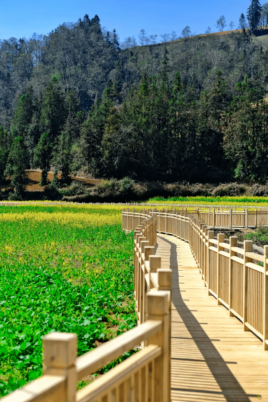 ����ͻ��-��������ݻ���_MG������Ϸ