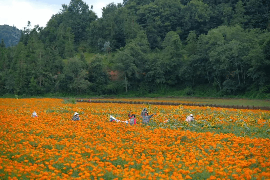 ����ͻ��-��������ݻ���_MG������Ϸ