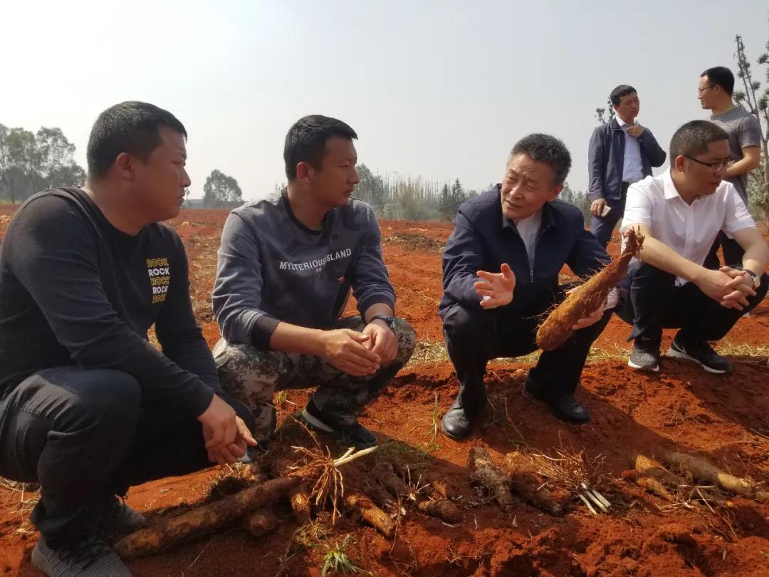 ����ͻ��-��������ݻ���_MG������Ϸ