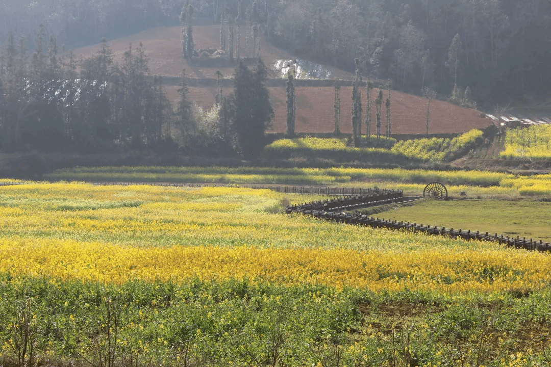 ����ͻ��-��������ݻ���_MG������Ϸ