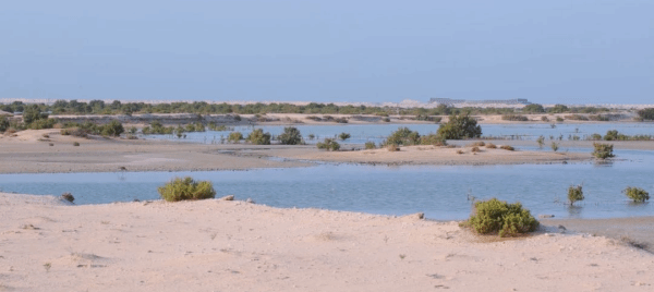 4D785A6B9C788E6D45BC1EC0EA7_8BB67443_10A8A