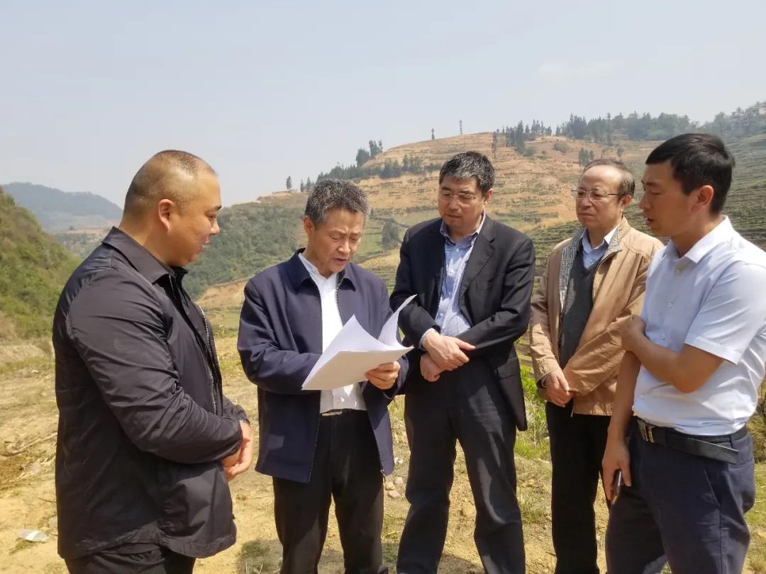 ����ͻ��-��������ݻ���_MG������Ϸ